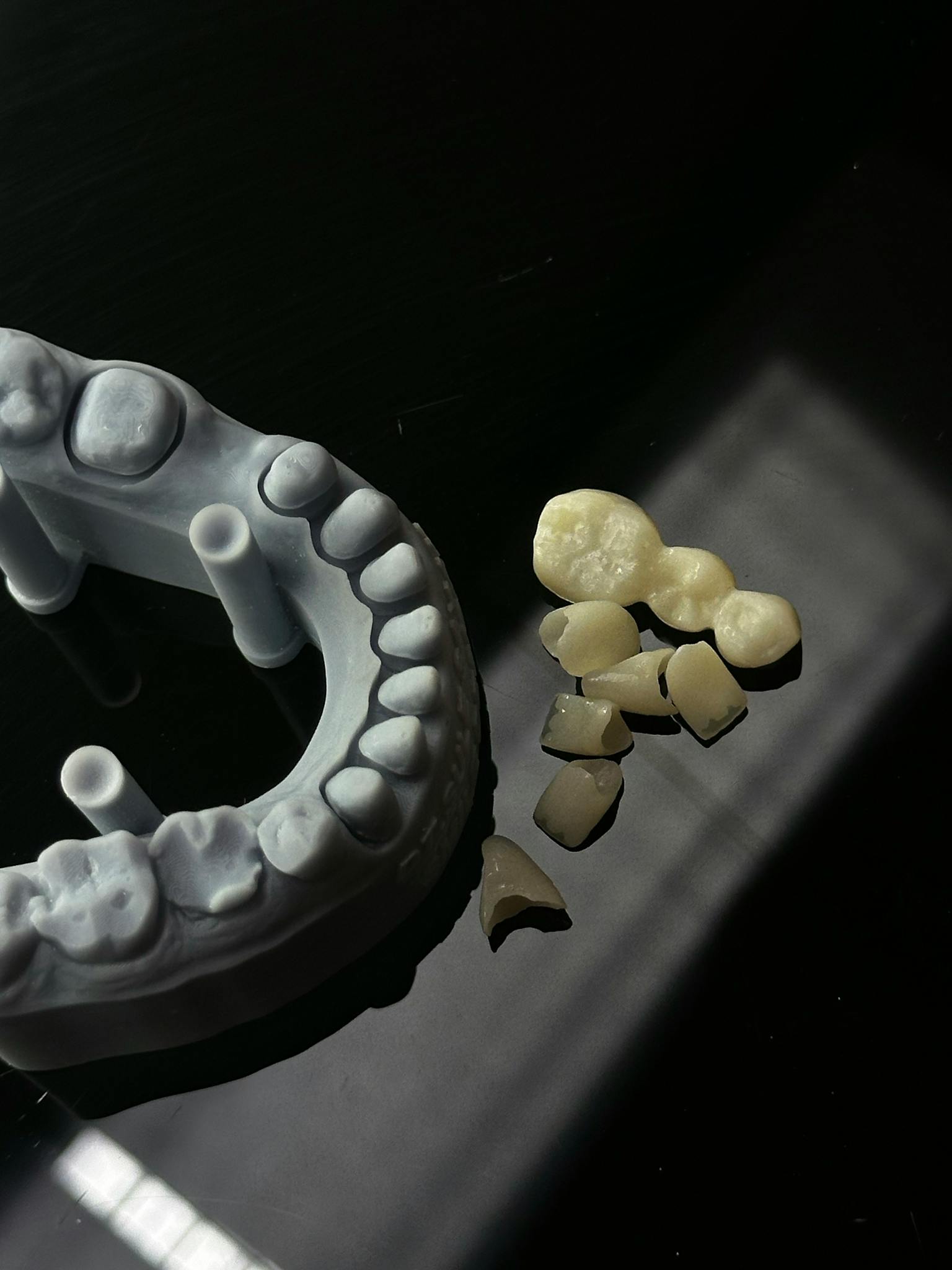 Dental mold and artificial teeth displayed on a reflective black surface for educational purposes.
